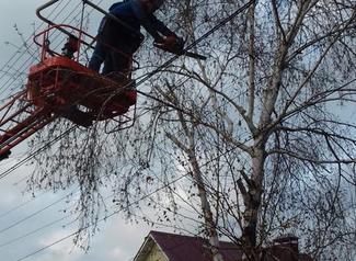 Подготовка к зиме: энергетики продолжают опиловку деревьев в охранных зонах ЛЭП Подготовка к зиме: энергетики продолжают опиловку деревьев в охранных зонах ЛЭП