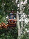 Воровать электроэнергию не получится Воровать электроэнергию не получится