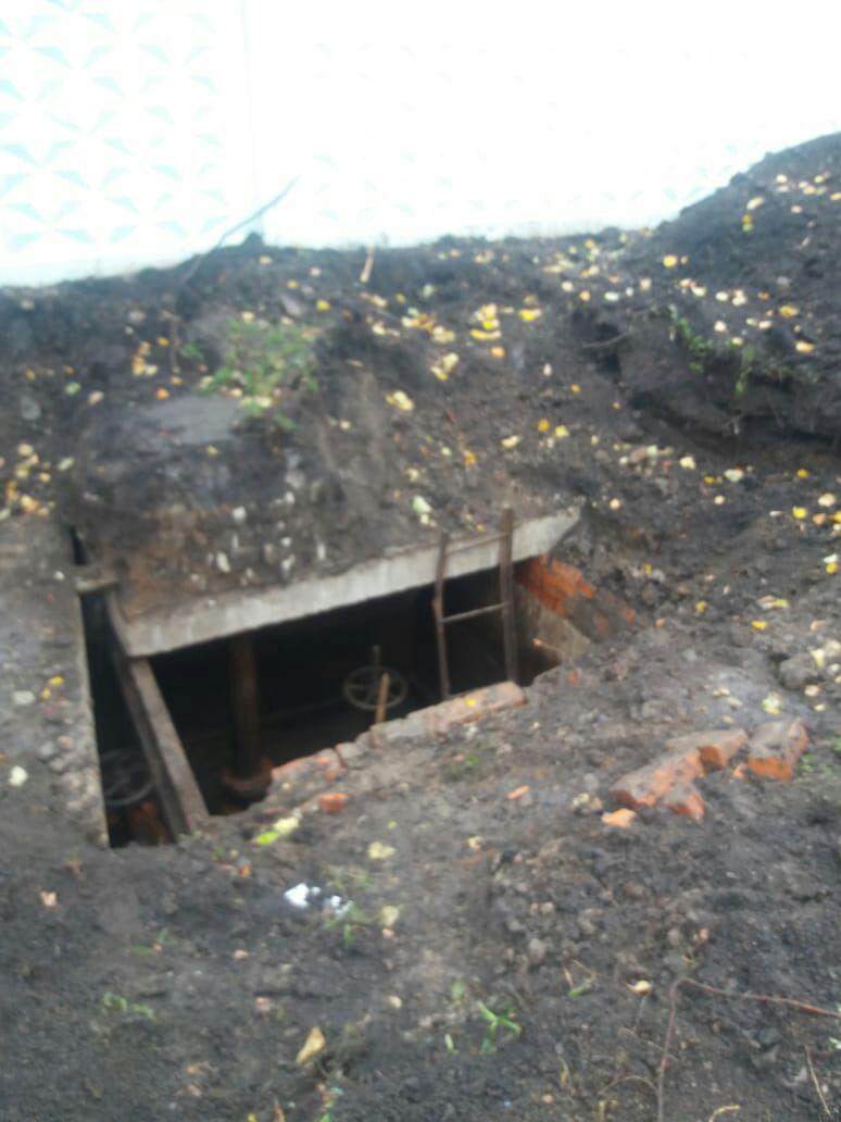 n2.jpg
