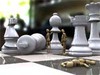 Вторые по шахматам Вторые по шахматам